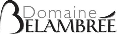 LOGO BELLAMBR2